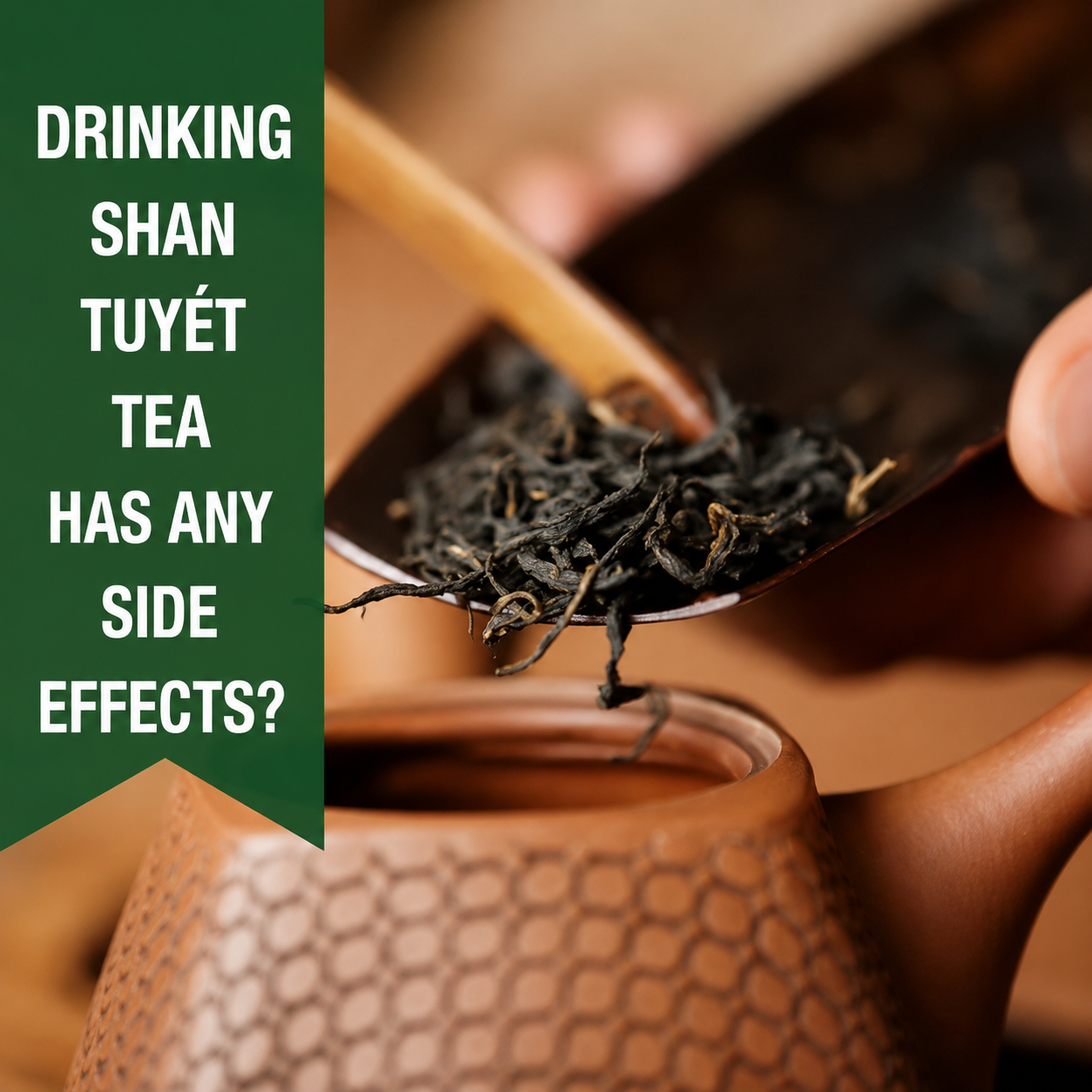 Does Shan Tuyet Tea Cause Insomnia? A Practical Guide to Enjoying It Properly