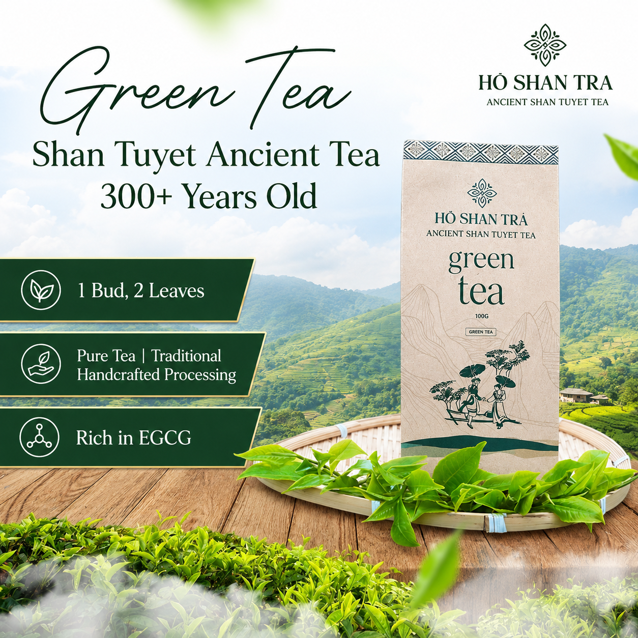 Ancient Snow Shan Green Tea