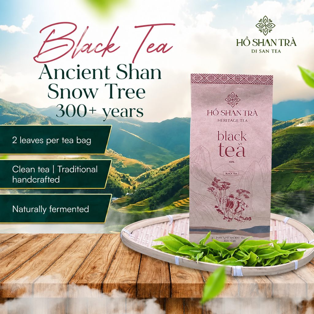 Ancient Snow Shan Black Tea