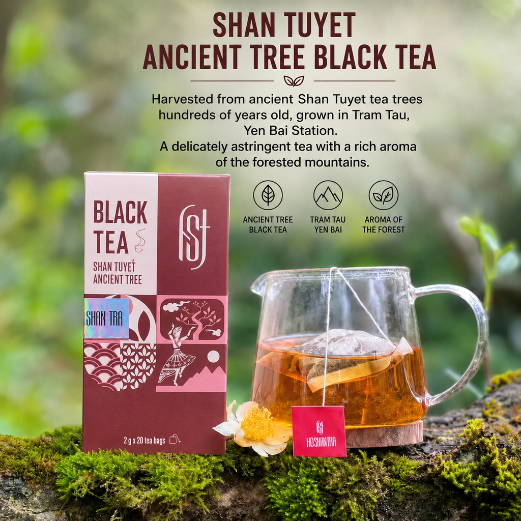 Shan Tuyet Black Tea Bags – From 300-Year-Old Wild Ancient Tea Trees