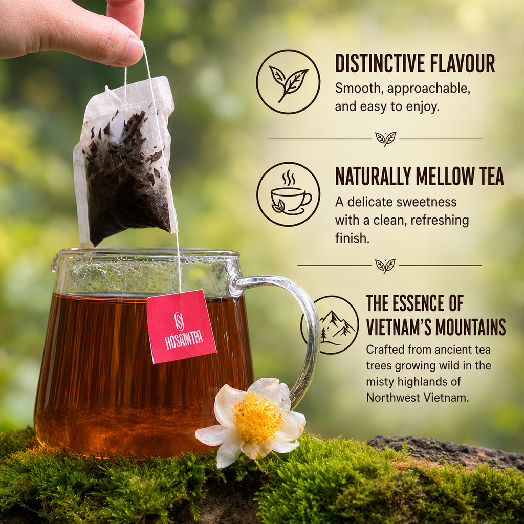 Shan Tuyet Black Tea Bags – From 300-Year-Old Wild Ancient Tea Trees