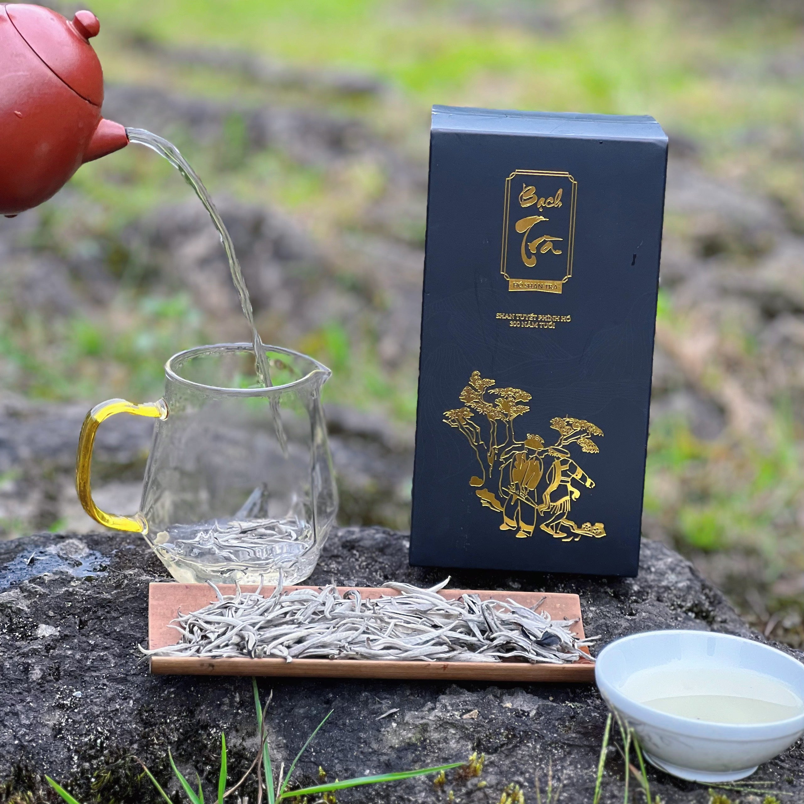 Ancient Snow Shan White Tea