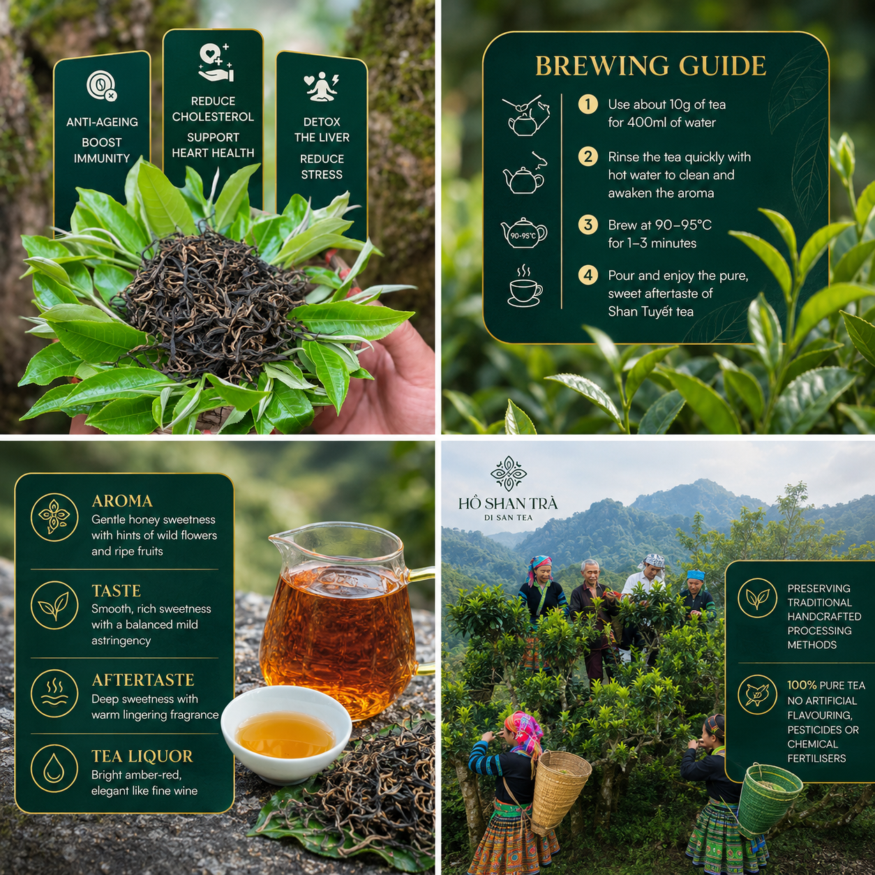 Ancient Snow Shan Black Tea