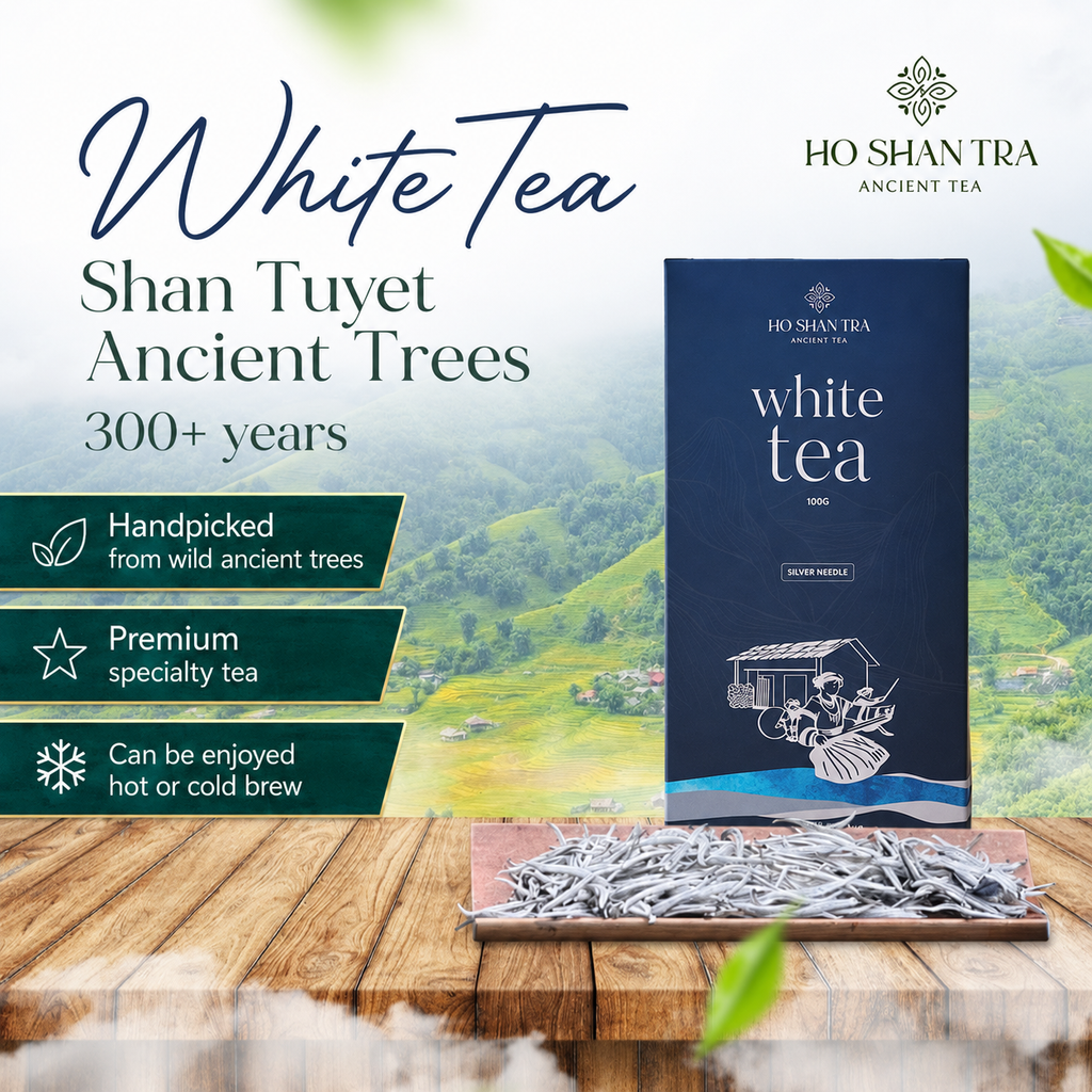 Ancient Snow Shan White Tea