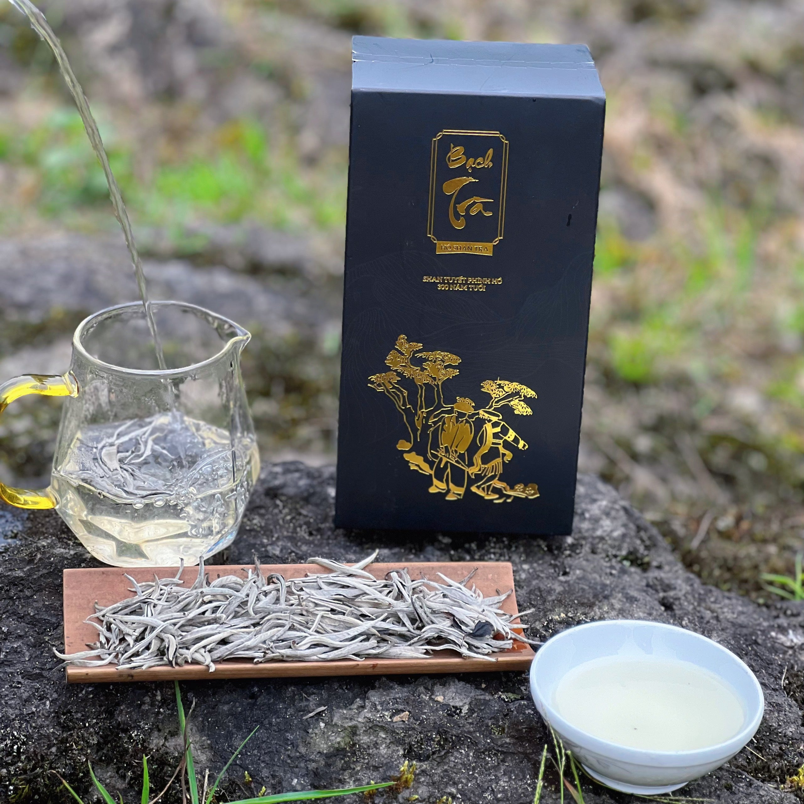 Ancient Snow Shan White Tea