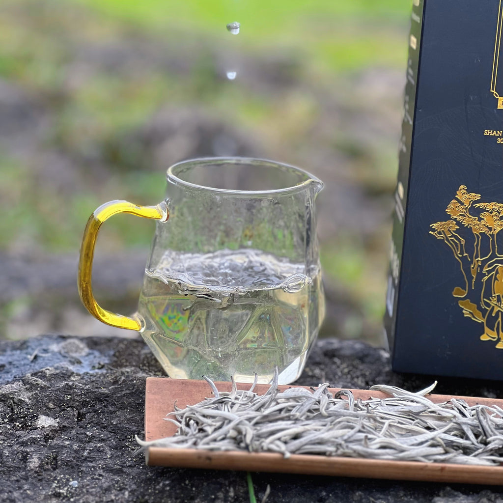 Ancient Snow Shan White Tea