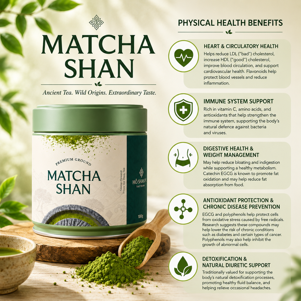 Matcha Shan — Wild Ancient Tree Matcha Powder from Vietnam