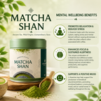 Matcha Shan — Wild Ancient Tree Matcha Powder from Vietnam