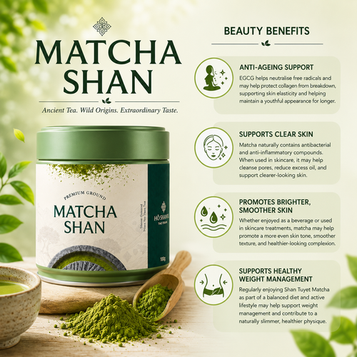 Matcha Shan — Wild Ancient Tree Matcha Powder from Vietnam