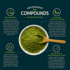 Matcha Shan — Wild Ancient Tree Matcha Powder from Vietnam