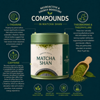 Matcha Shan — Wild Ancient Tree Matcha Powder from Vietnam