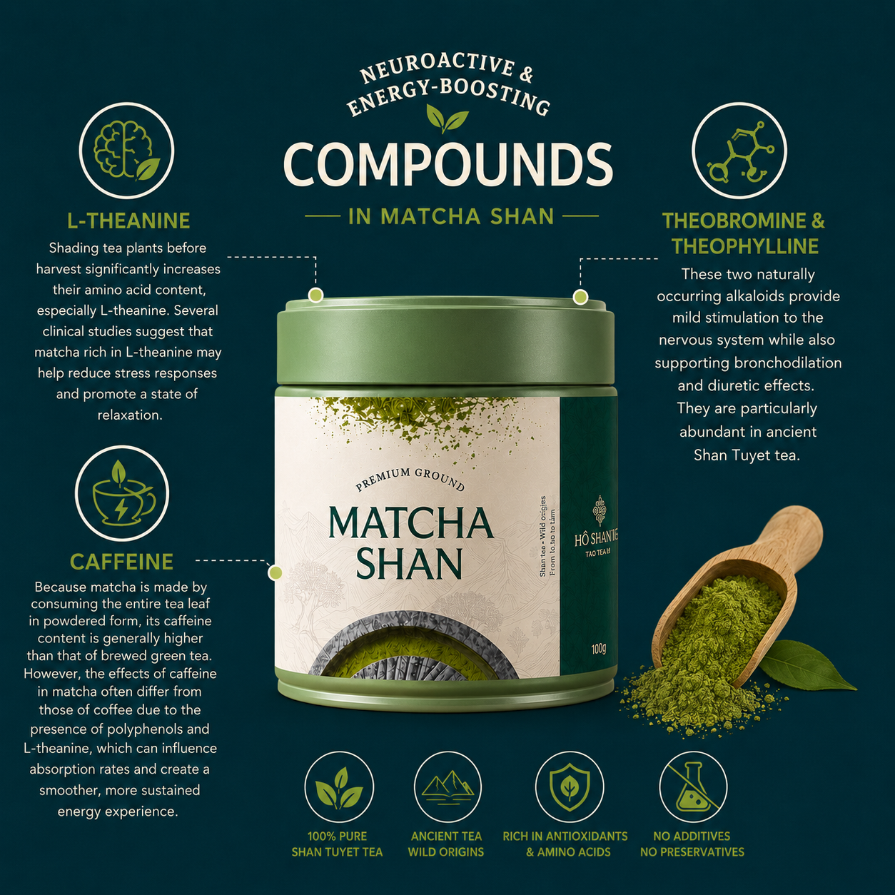 Matcha Shan — Wild Ancient Tree Matcha Powder from Vietnam