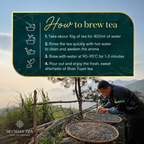 Ancient Snow Shan White Tea