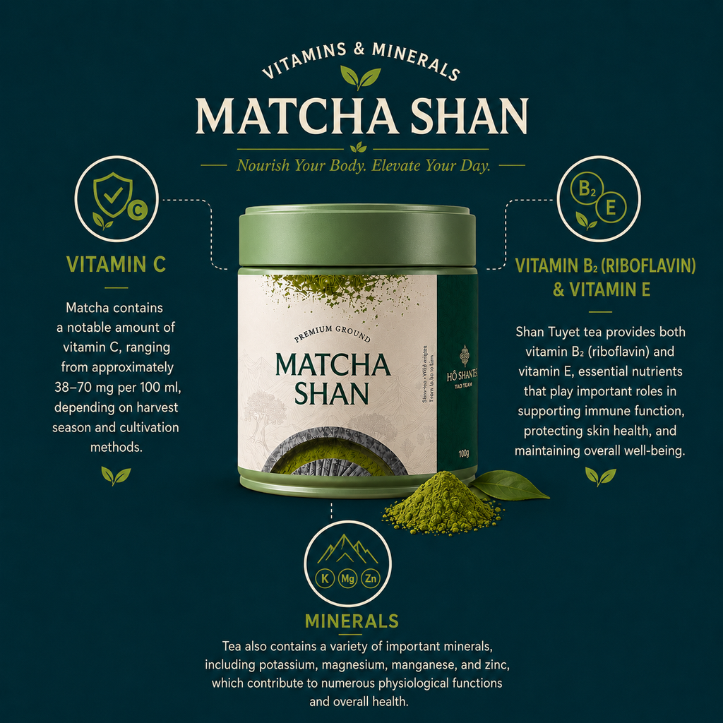 Matcha Shan — Wild Ancient Tree Matcha Powder from Vietnam