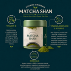 Matcha Shan — Wild Ancient Tree Matcha Powder from Vietnam