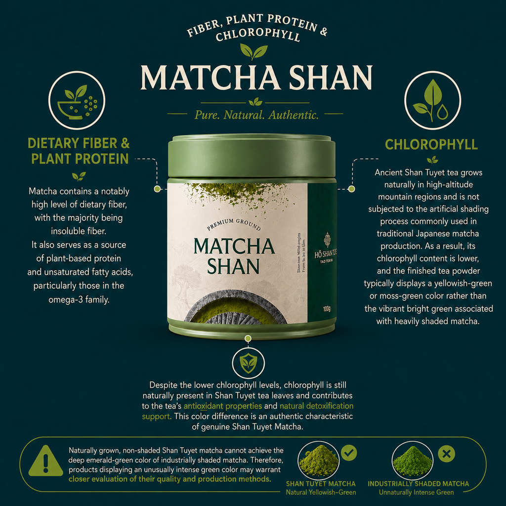 Matcha Shan — Wild Ancient Tree Matcha Powder from Vietnam