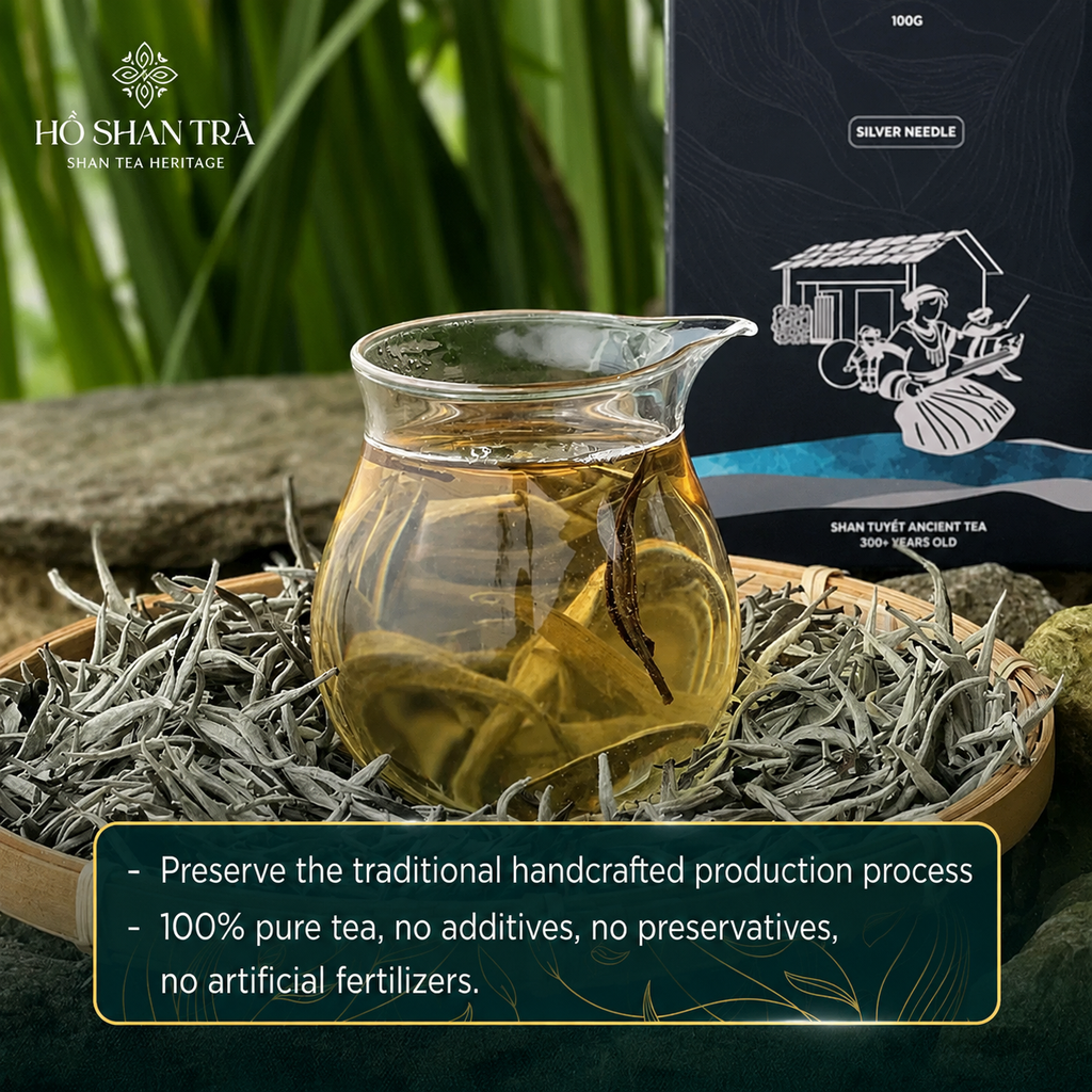 Ancient Snow Shan White Tea