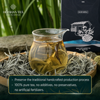 Ancient Snow Shan White Tea