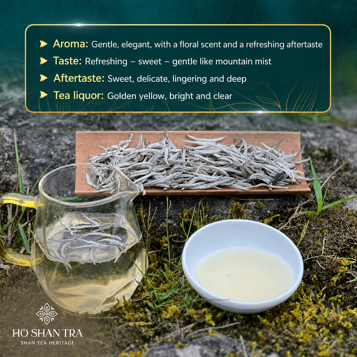 Ancient Snow Shan White Tea