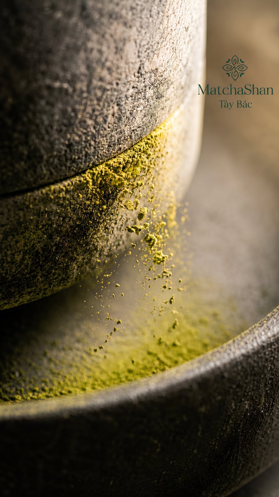 Matcha Shan — Wild Ancient Tree Matcha Powder from Vietnam