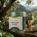 Matcha Shan — Wild Ancient Tree Matcha Powder from Vietnam