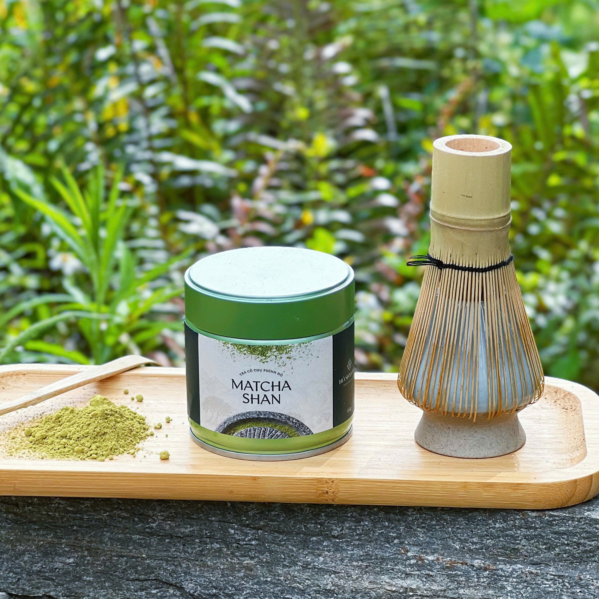 Matcha Shan — Wild Ancient Tree Matcha Powder from Vietnam