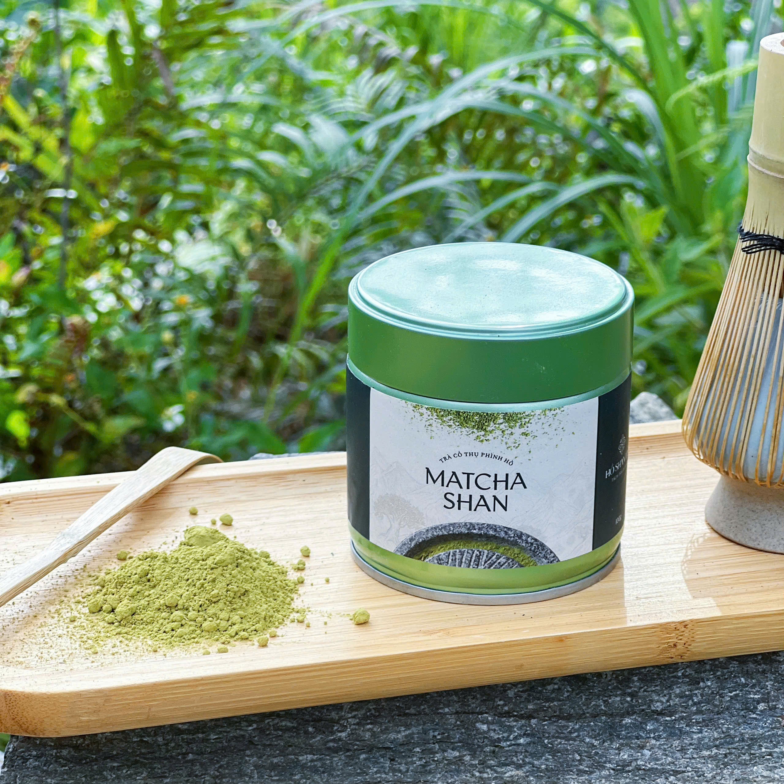 Matcha Shan — Wild Ancient Tree Matcha Powder from Vietnam