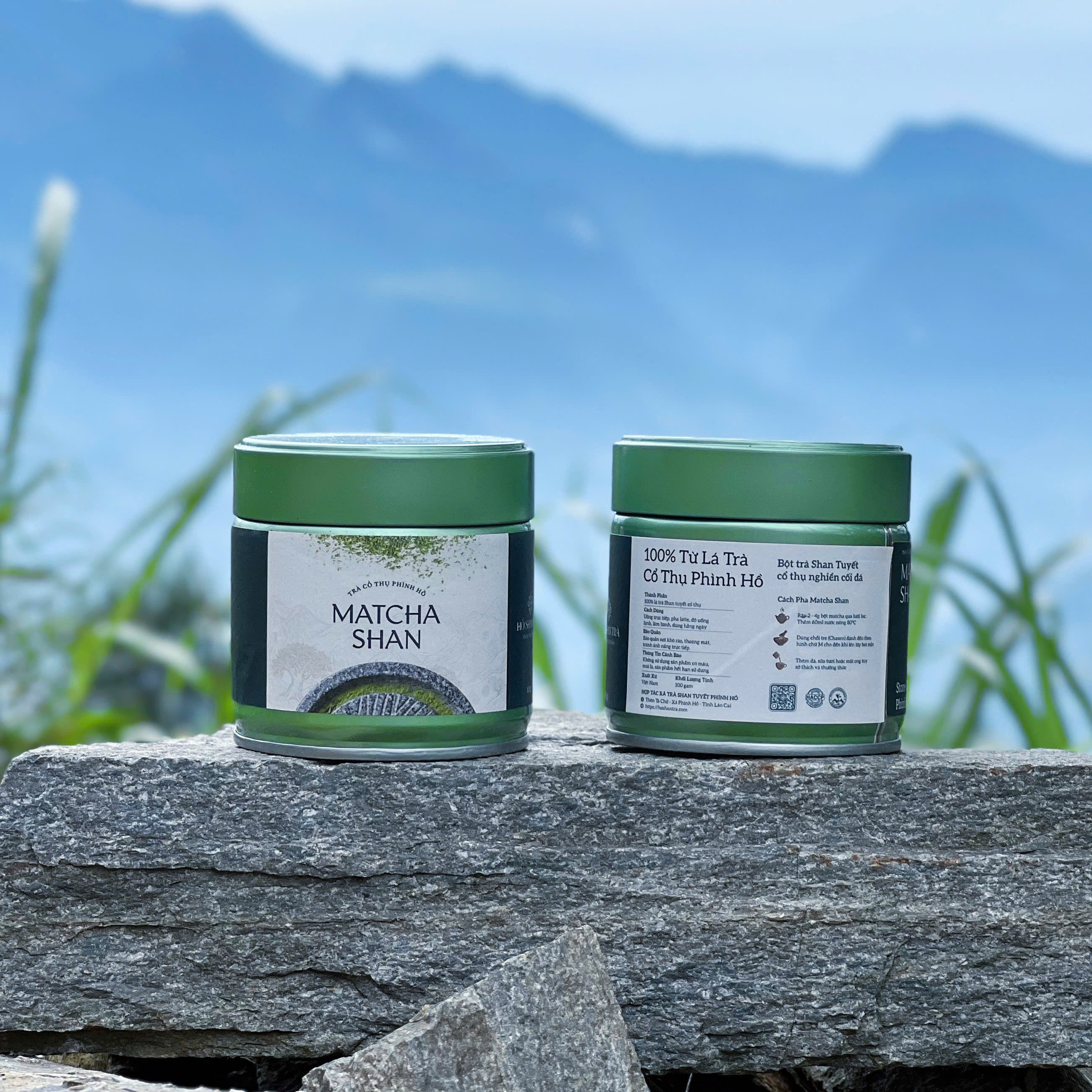 Matcha Shan — Wild Ancient Tree Matcha Powder from Vietnam