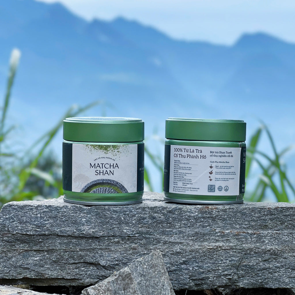 Matcha Shan — Wild Ancient Tree Matcha Powder from Vietnam